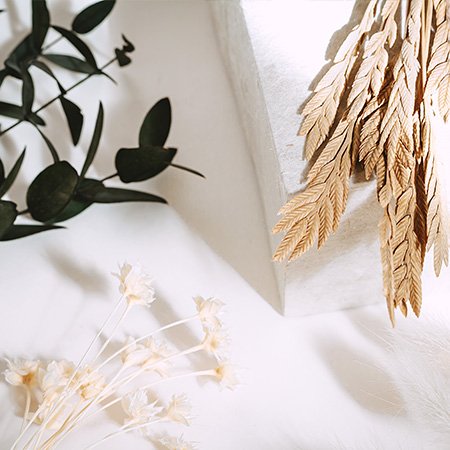 Les fleurs séchées