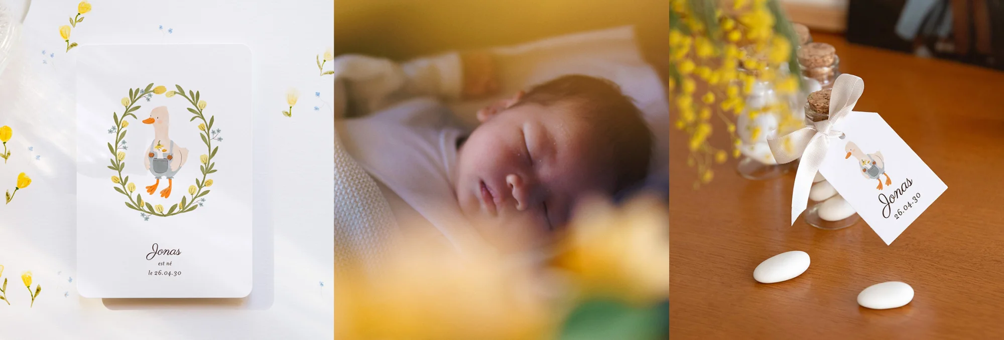 Nouvelles créations naissance