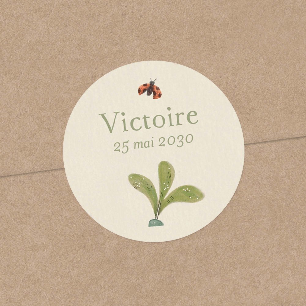 Fleur de sureau