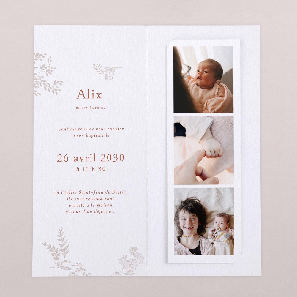 Forêt endormie - Rose