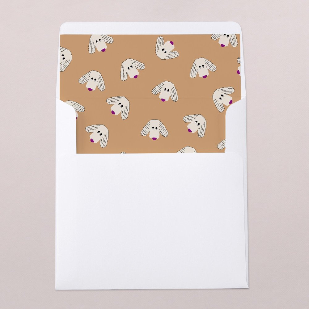 Intérieur d'enveloppe