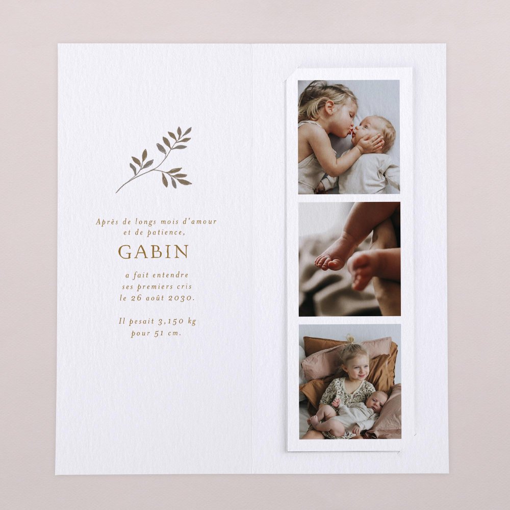 Doux rêveur - Bay Leaves