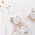 Petit écureuil doré