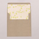 Intérieur d'enveloppe