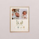 Deux petits lapins