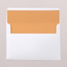 Intérieur d'enveloppe