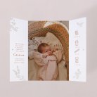 Forêt endormie - Terracotta