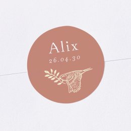 Forêt endormie - Rose