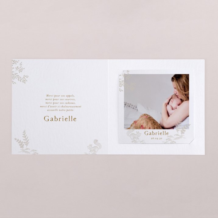 Forêt endormie - Ocre