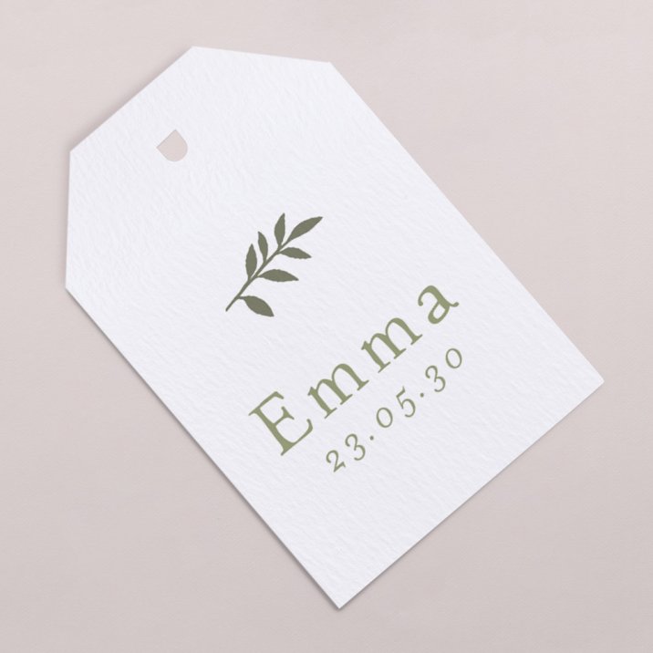 Bay Leaves - Icônes