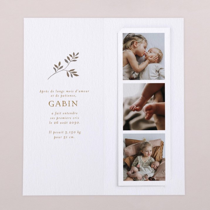 Doux rêveur - Bay Leaves